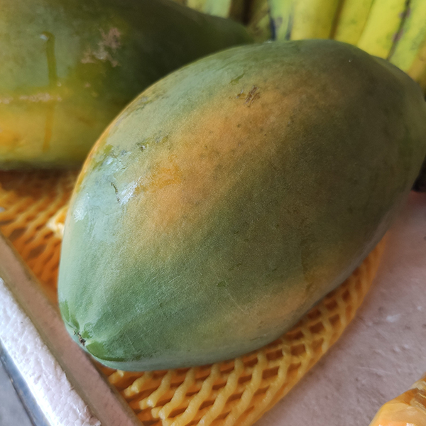 Đu đủ ruột đỏ